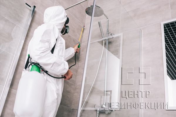 Санитарная обработка от тараканов в квартире  в Волоколамске